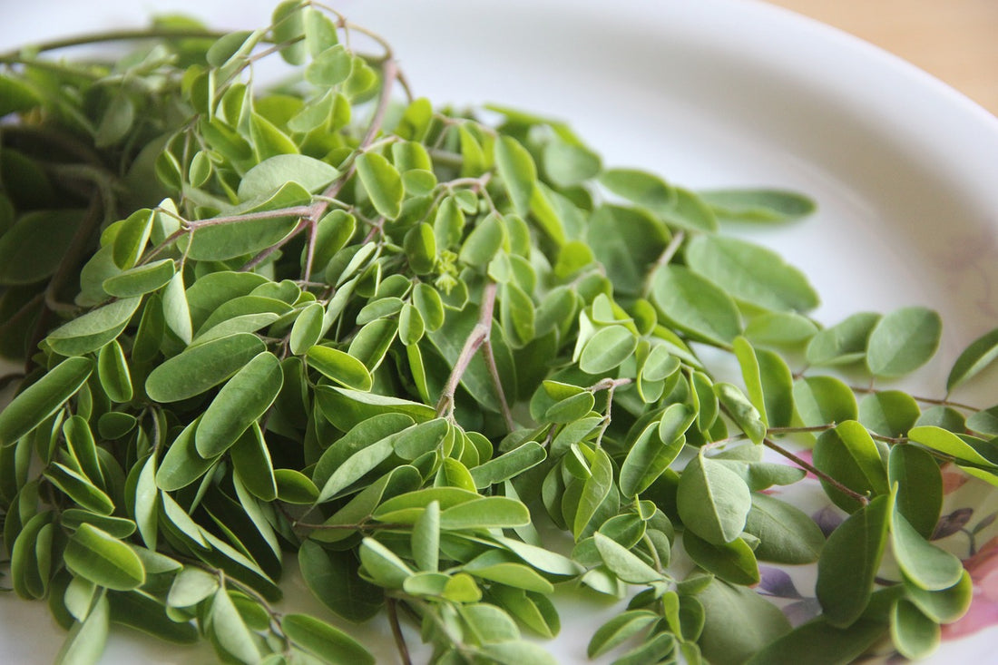 Garder la forme et lutter contre le stress avec le MORINGA