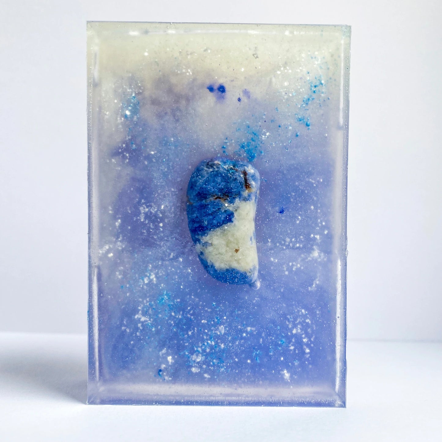 Savon "L'insaisissable poisson" - holistea
