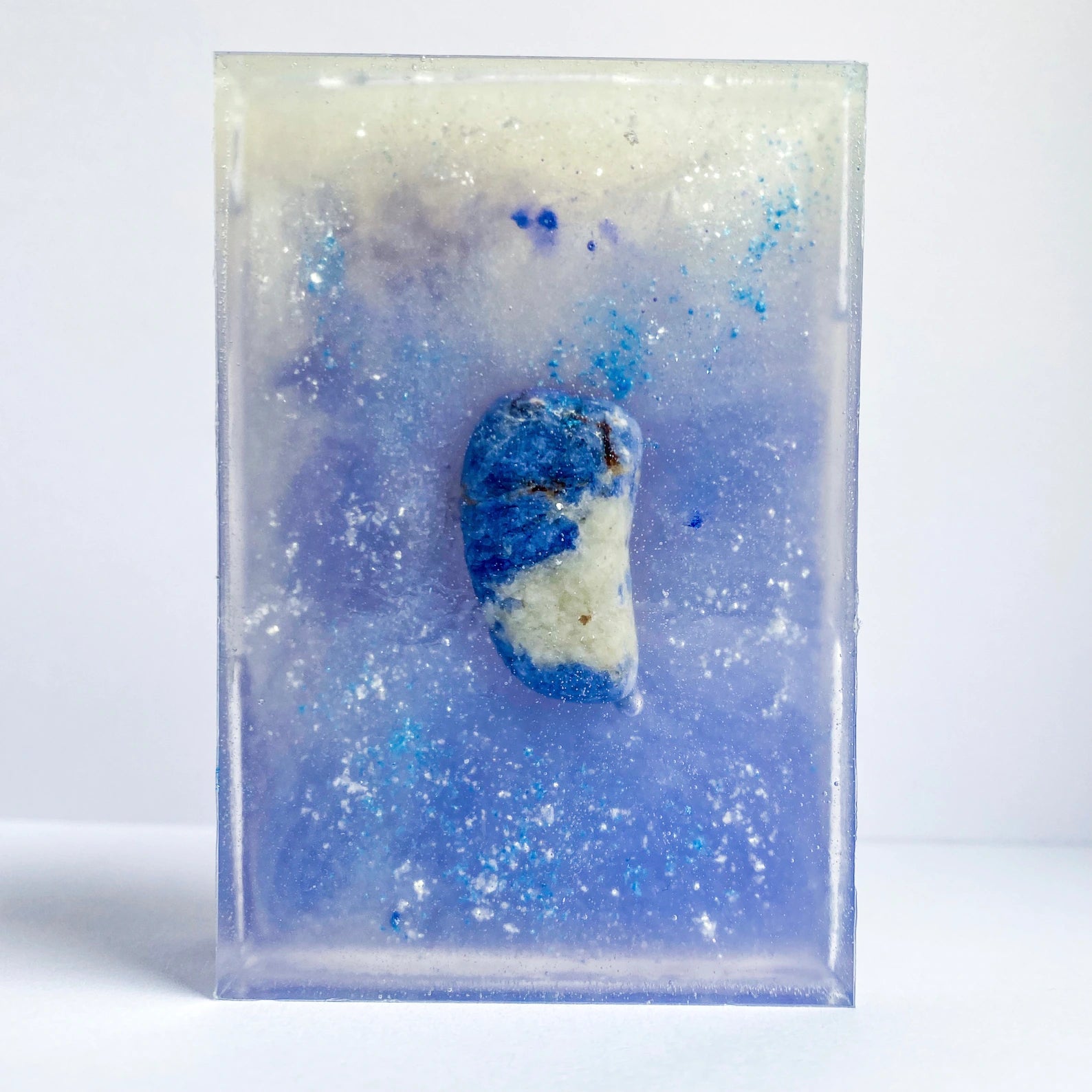 Savon "L'insaisissable poisson" - holistea